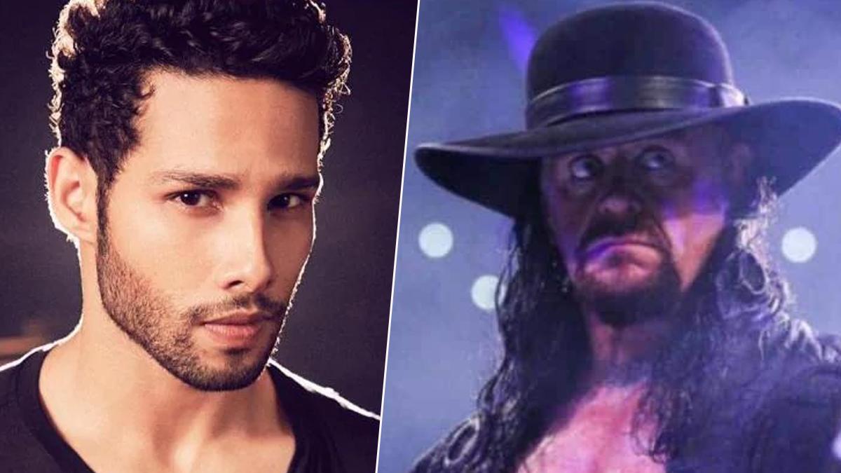 सिद्धांत चतुर्वेदी और अंडरटेकर