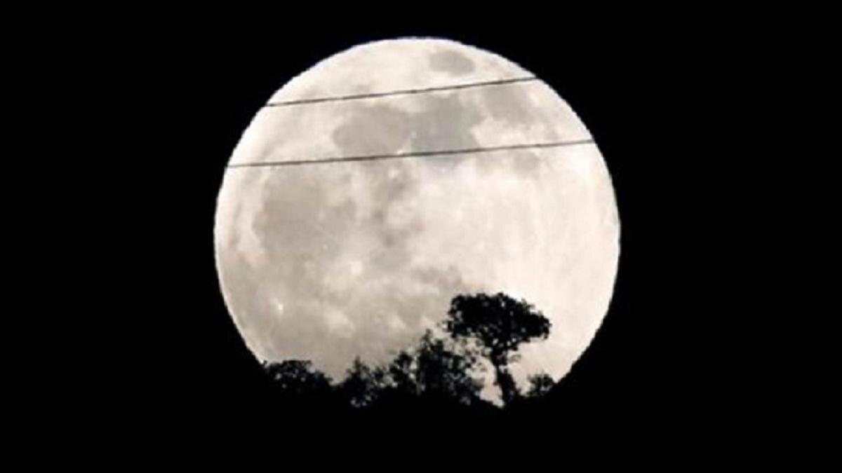 Chaitra Purnima 2021: चैत्र पूर्णिमा व्रत आज, जानिए शुभ मुहूर्त और पूजन विधि