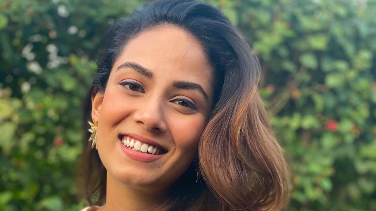 मीरा राजपूत