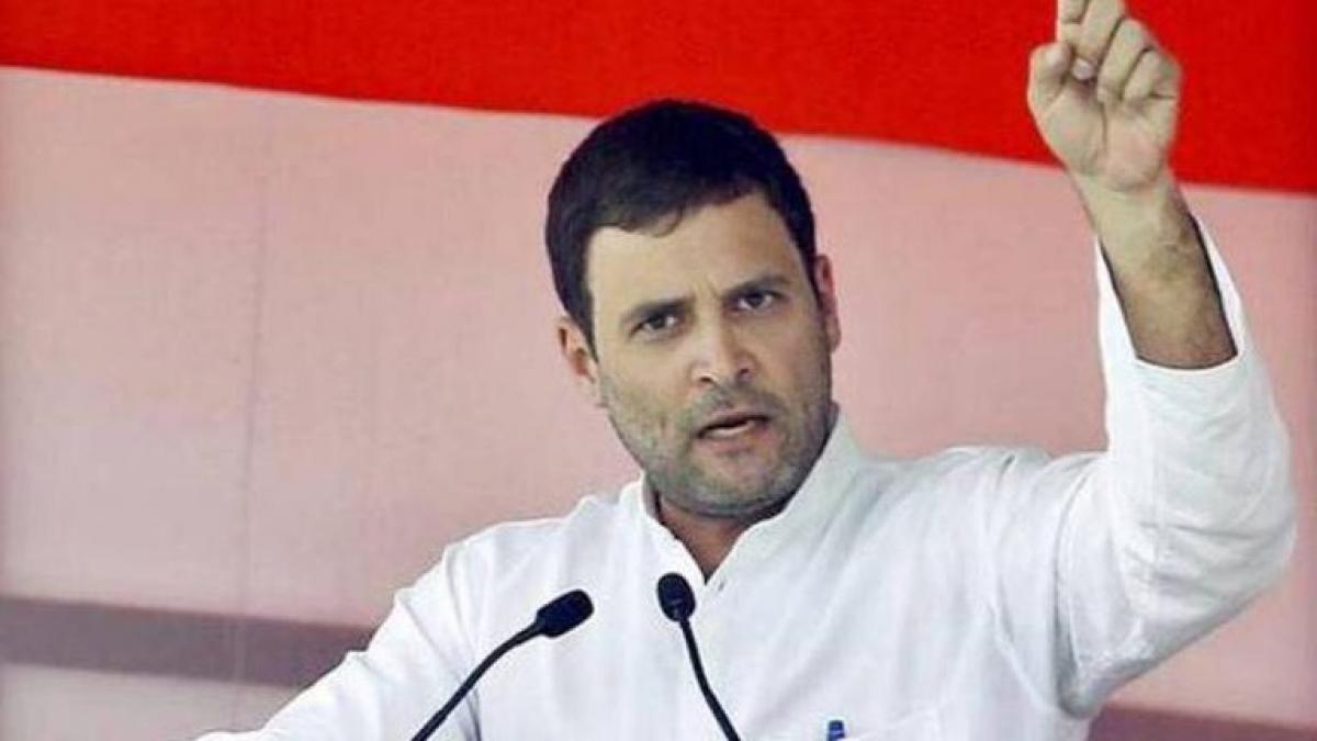 राहुल गांधी, कांग्रेस सांसद (फाइल फोटो)