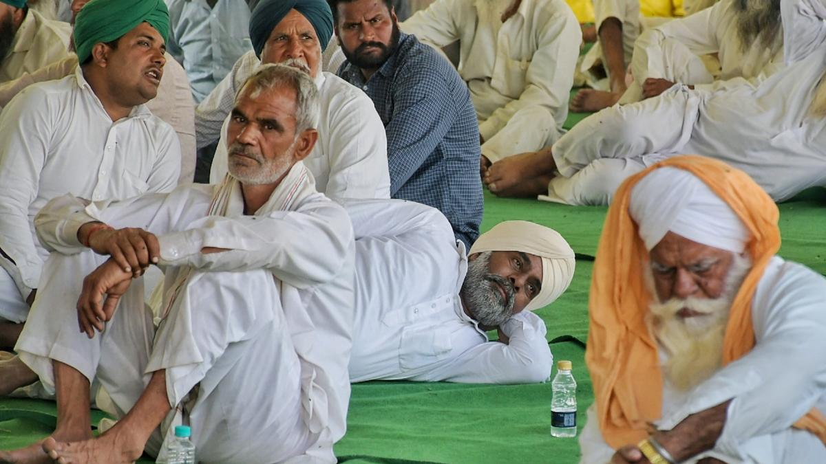 सिंघु बॉर्डर पर लंबे वक्त से जारी है किसानों का धरना (फाइल फोटो: PTI)