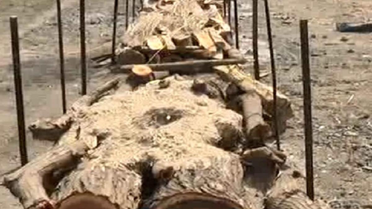 सूरत के श्मशान में लकड़ियों की किल्लत, शव जलाने के लिए किया जा रहा गन्ने की खोई का इस्तेमाल