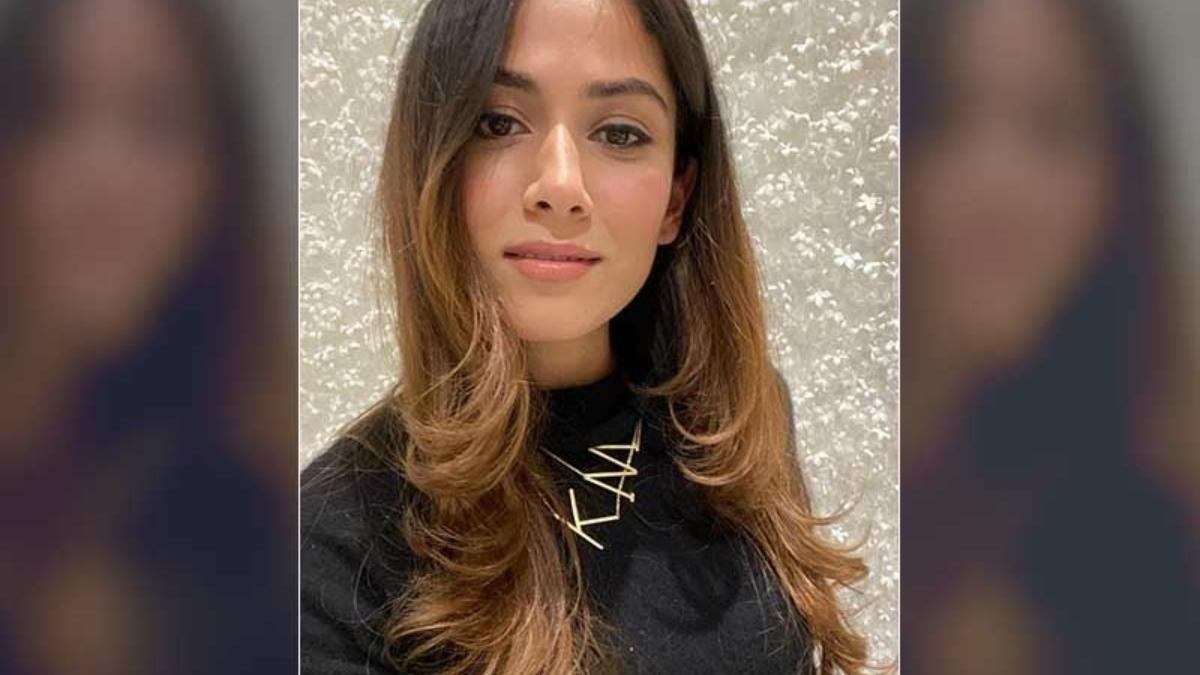 मीरा राजपूत