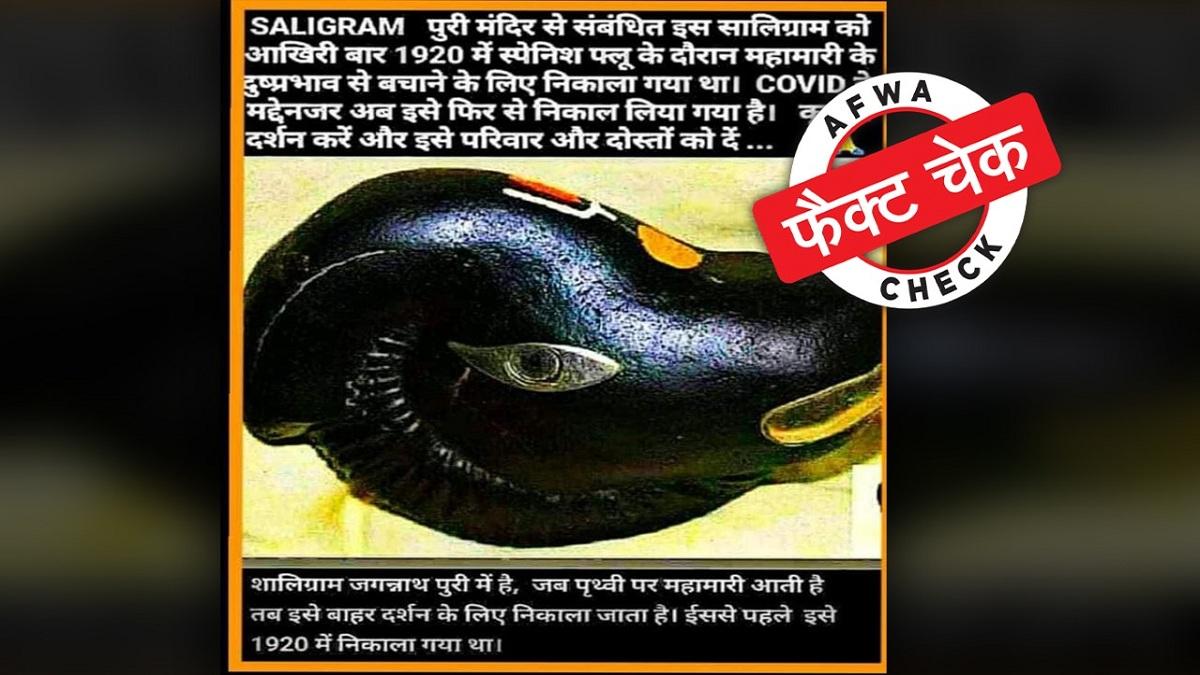 सोशल मीडिया यूजर्स