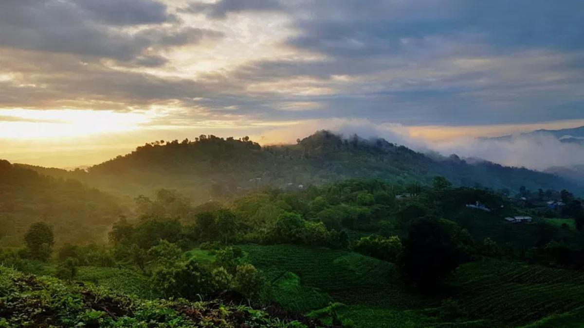 Weather Forecast Live Updates