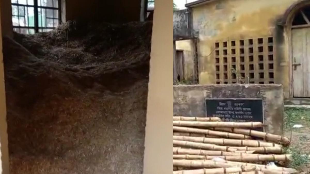  उप-स्वास्थ्य केंद्र में रखा जा रहा पशुओं का चारा