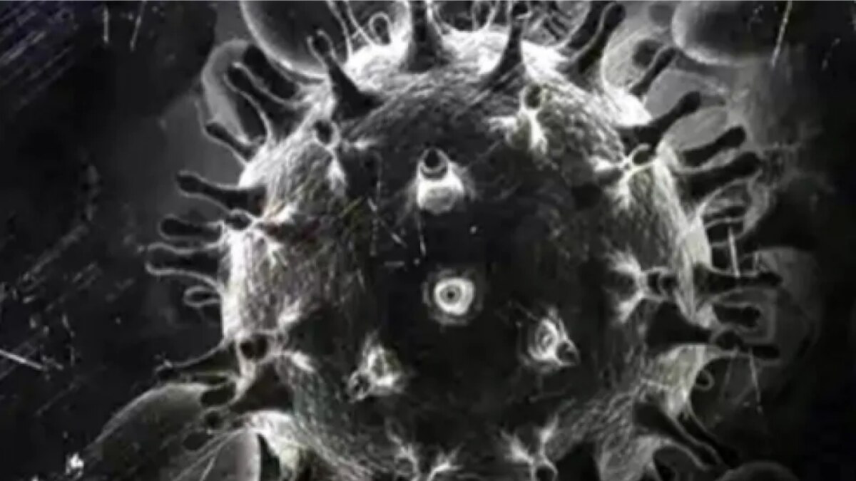 प्रतीकात्मक तस्वीर 