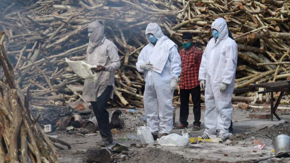 पिछले सात दिनों में 12 लोगों की गई जान (फाइल फोटो)