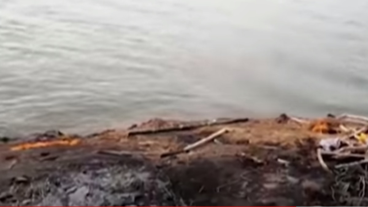 गाजीपुर से बक्सर तक गंगा के दोनों किनारे तैरती लाशें