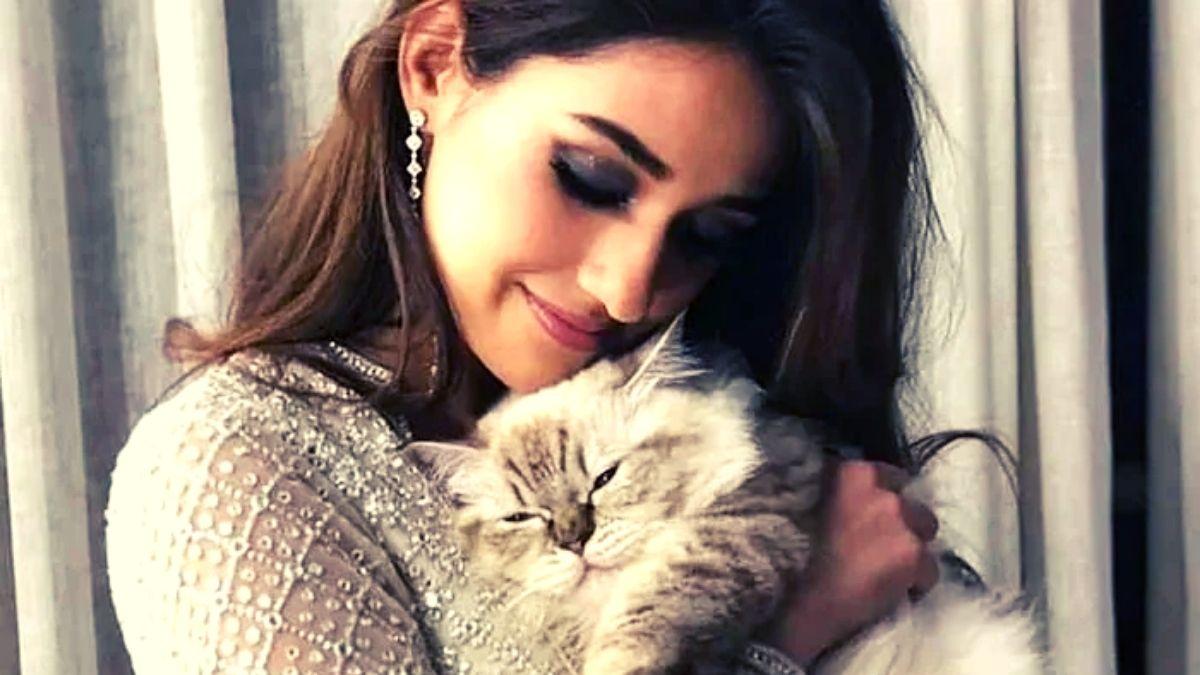 अपनी बिल्लियों को प्यार करती दिखीं दिशा पाटनी, फैंस ने ऐसे किया रिएक्ट