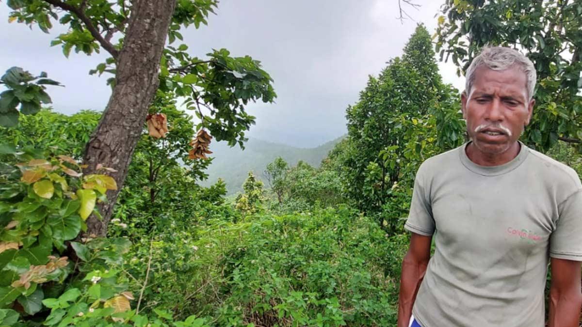 ग्रामीण इदरीश नगेशिया, जिनके 3 मवेशियों को मार चुकी है बाघिन (फोटो-आजतक)