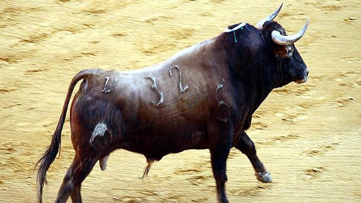 bareilly crime (प्रतीकात्मक फोटो)