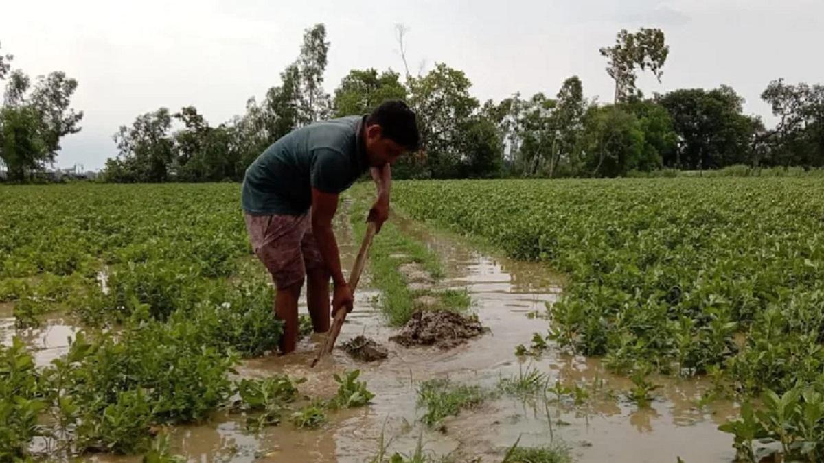 बारिश के कारण खेतों में भरा पानी (सांकेतिक तस्वीर)