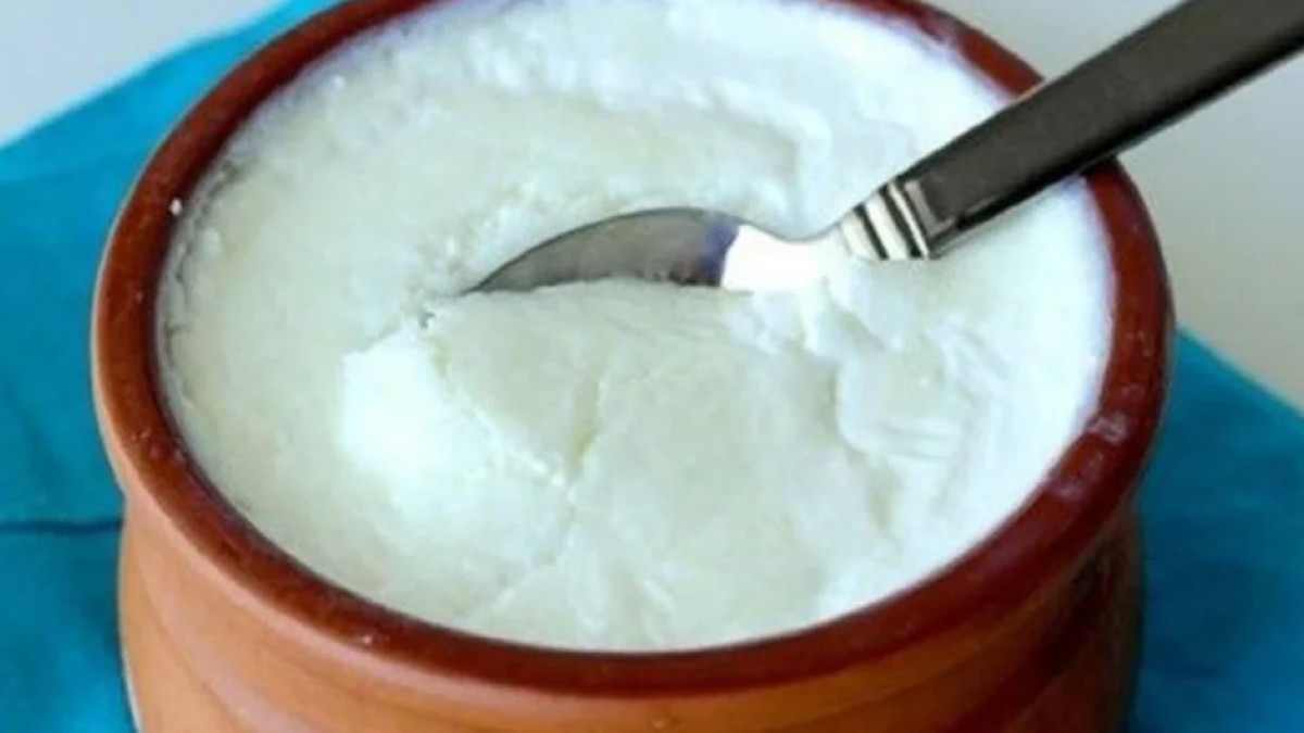 Tips to Make Thick Curd at Home