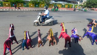 दिल्ली में 1 जून से अनलॉक की प्रक्रिया शुरू हो गई है. (फाइल फोटो-PTI) दिल्ली में 1 जून से अनलॉक की प्रक्रिया शुरू हो गई है. (फाइल फोटो-PTI)