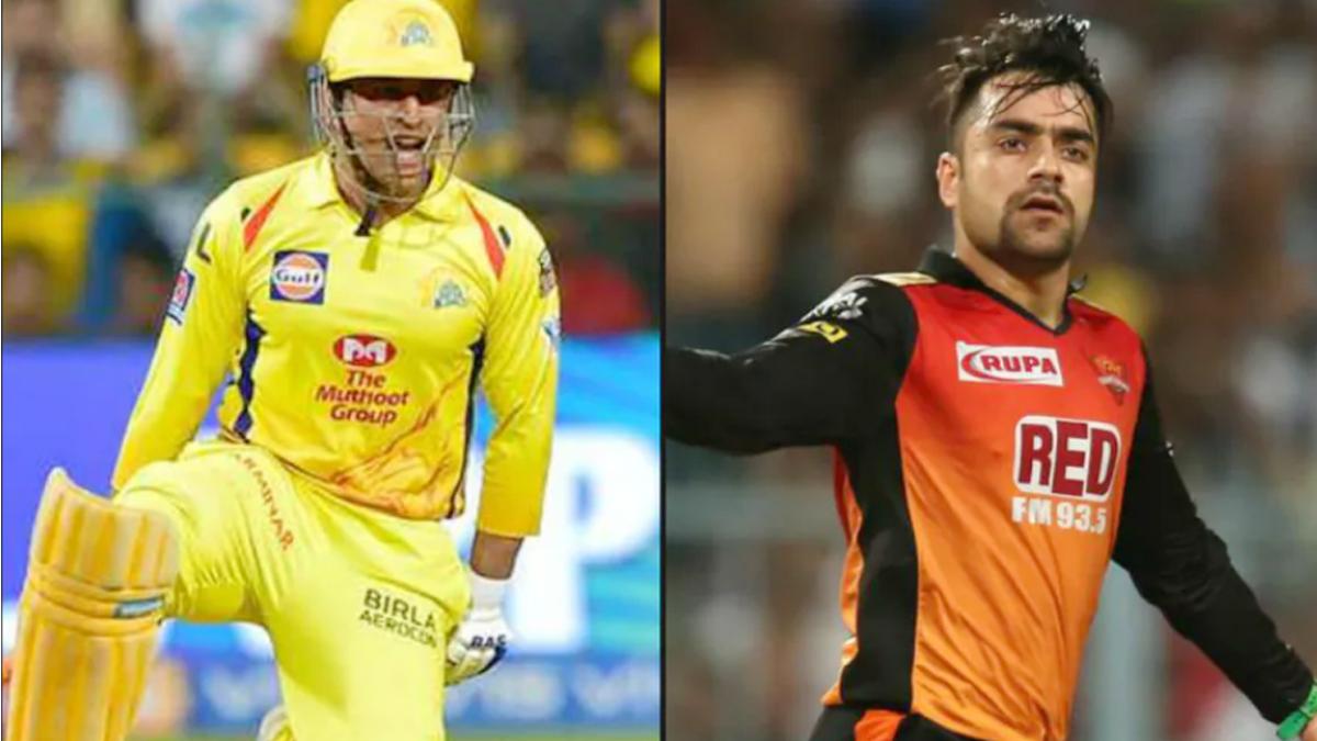 महेंद्र सिंह धोनी और राशिद खान