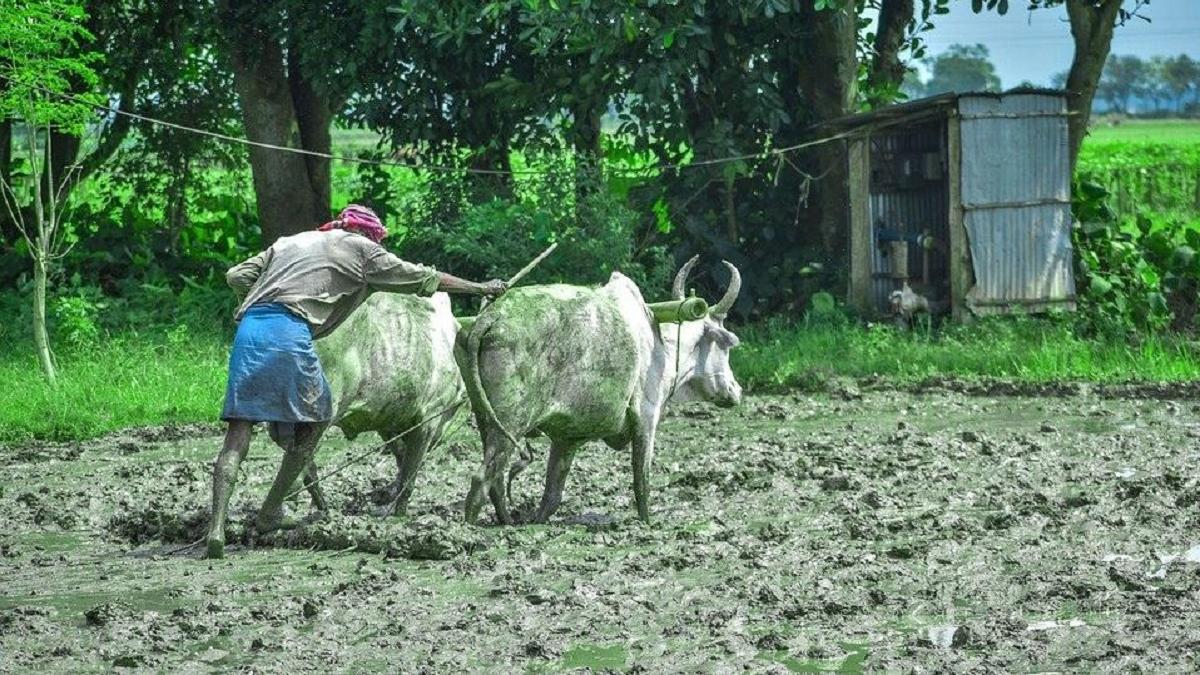 PM Kisan Samman Nidhi Yojana 8th Installment 