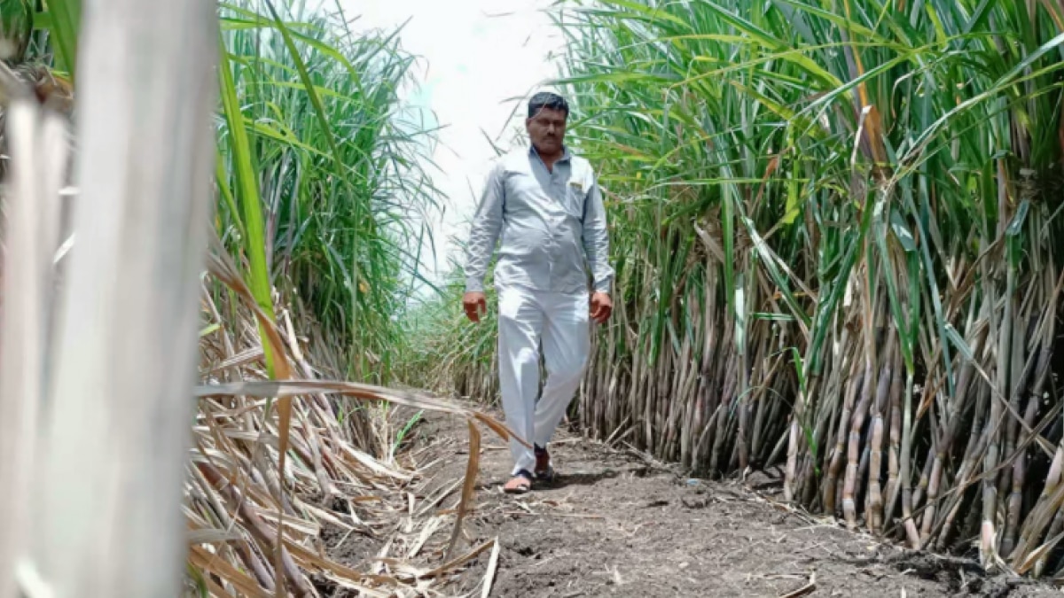 तकनीक ने ला दी किसान की जिंदगी में क्रांति