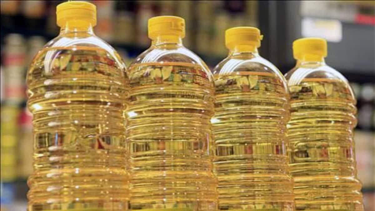 घटेगा आम आदमी की रसोई का खर्च! मोदी सरकार के इस फैसले से सस्ता होगा खाद्य तेल - Govt cuts import duty on crude palm oil to 10 percent will impact daily