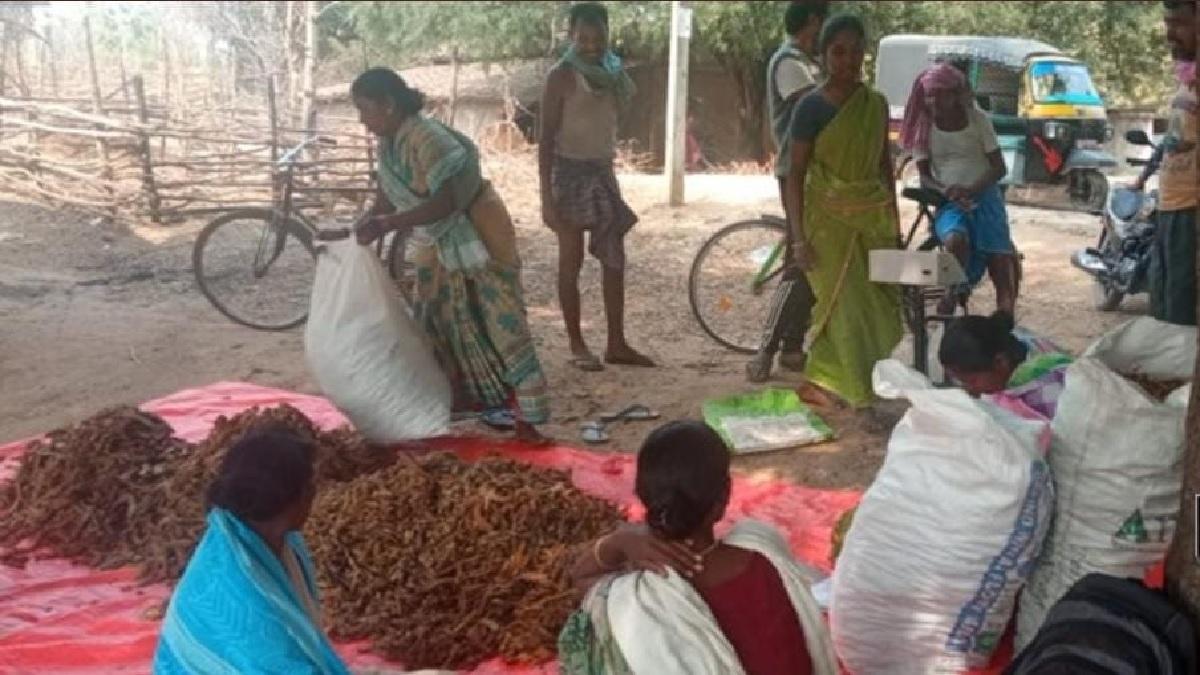 Women Farmers Jharkhand