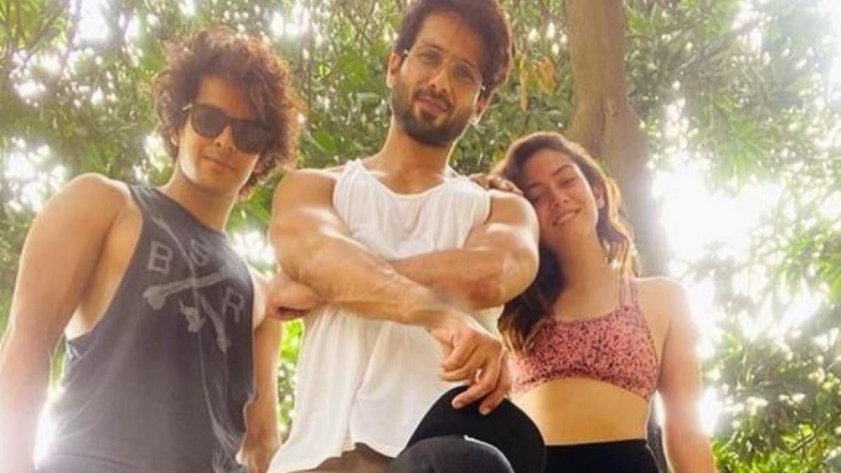 मीरा राजपूत, शाहिद कपूर, ईशान खट्टर