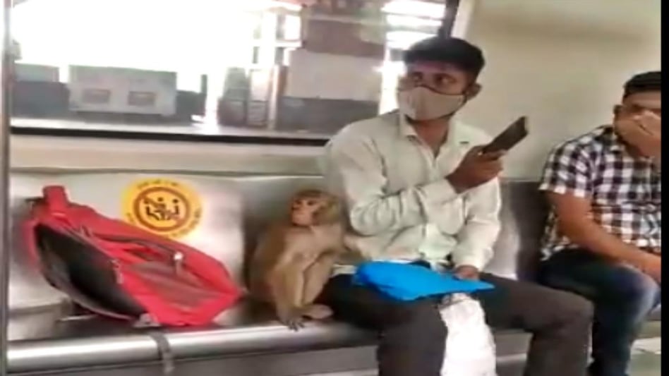 दिल्ली मेट्रो में बंदर ने की यात्रा