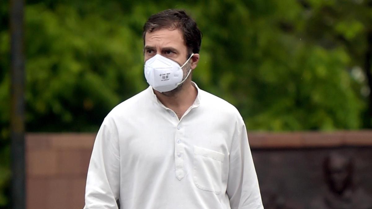 कांग्रेस सांसद राहुल गांधी (फोटो: PTI)