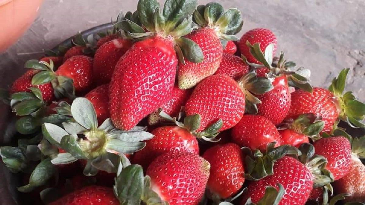 Image credit: Deepak Shandil