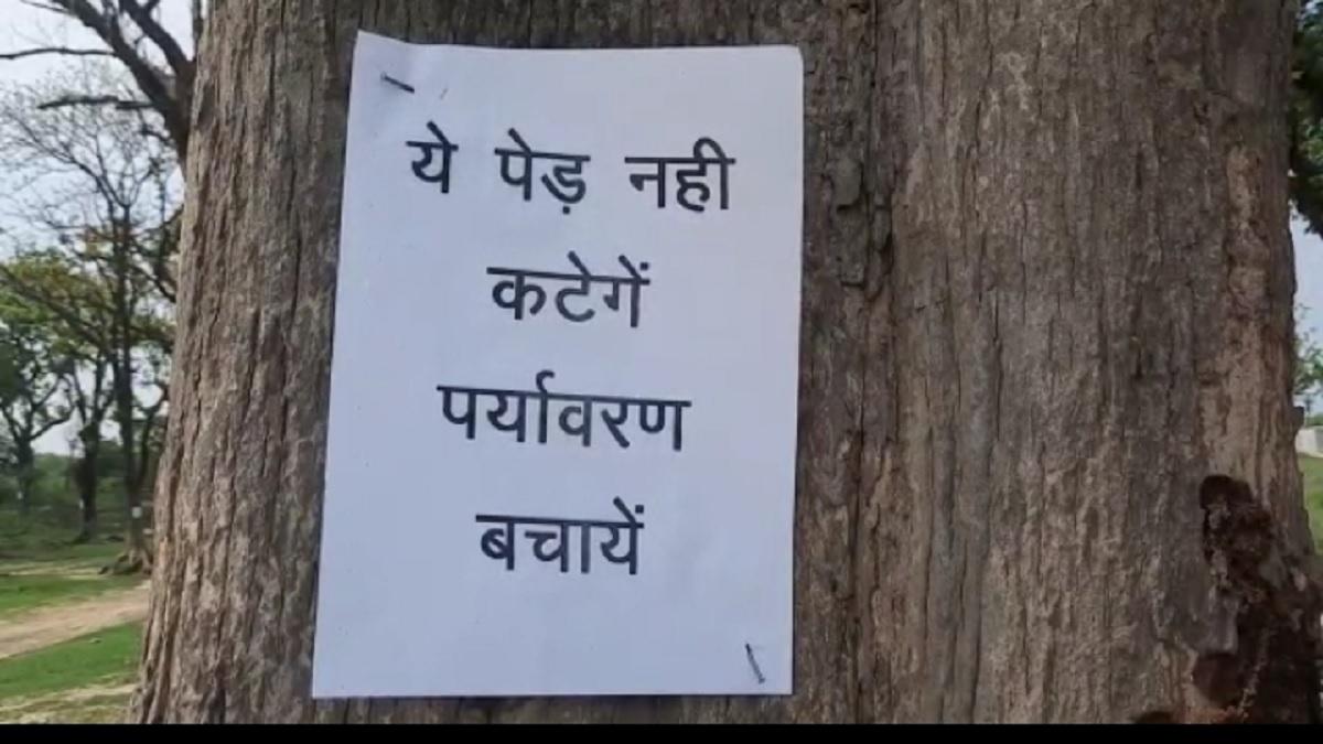 पेटों की कटाई के खिलाफ हैं ग्रामीण.