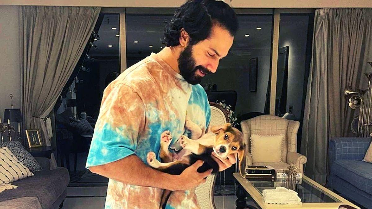 वरुण धवन 