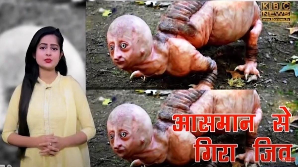 सोशल मीडिया यूजर्स