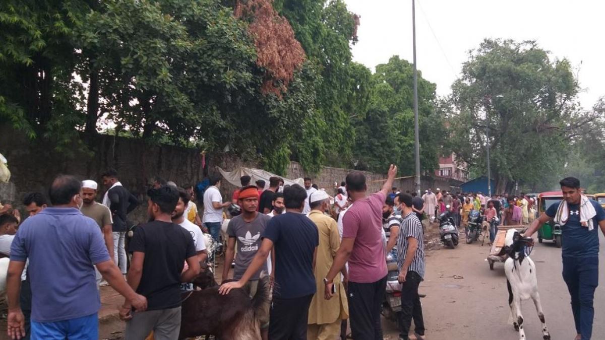 बकरीद में नहीं मिल रहे ग्राहक (फोटो- आजतक)