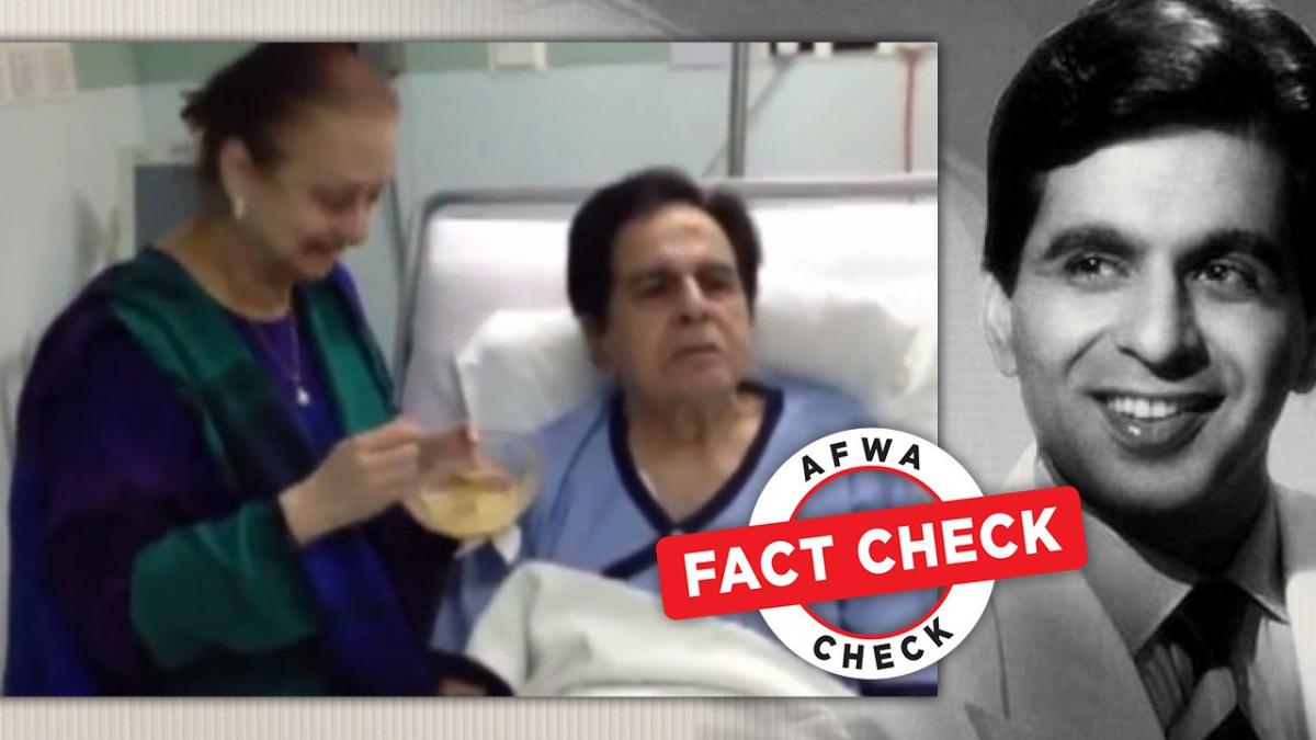 सोशल मीडिया यूजर्स