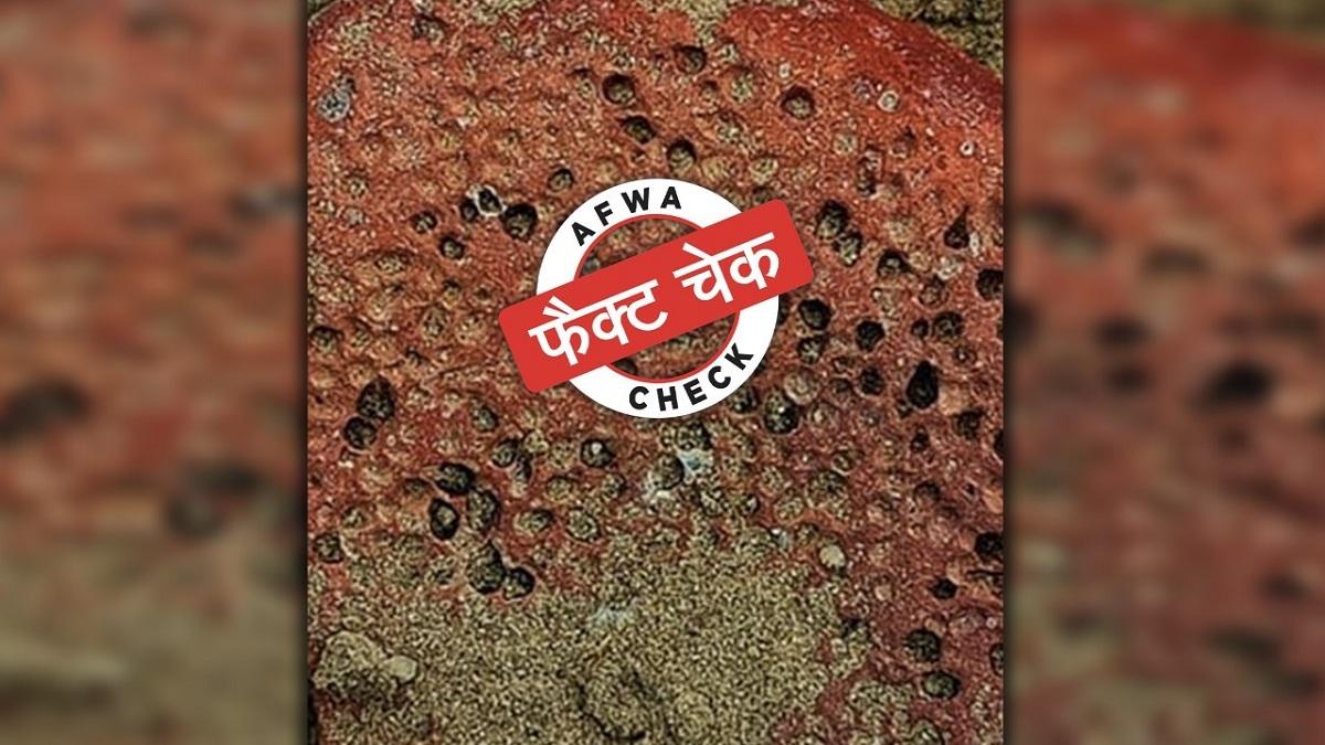 सोशल मीडिया यूजर्स