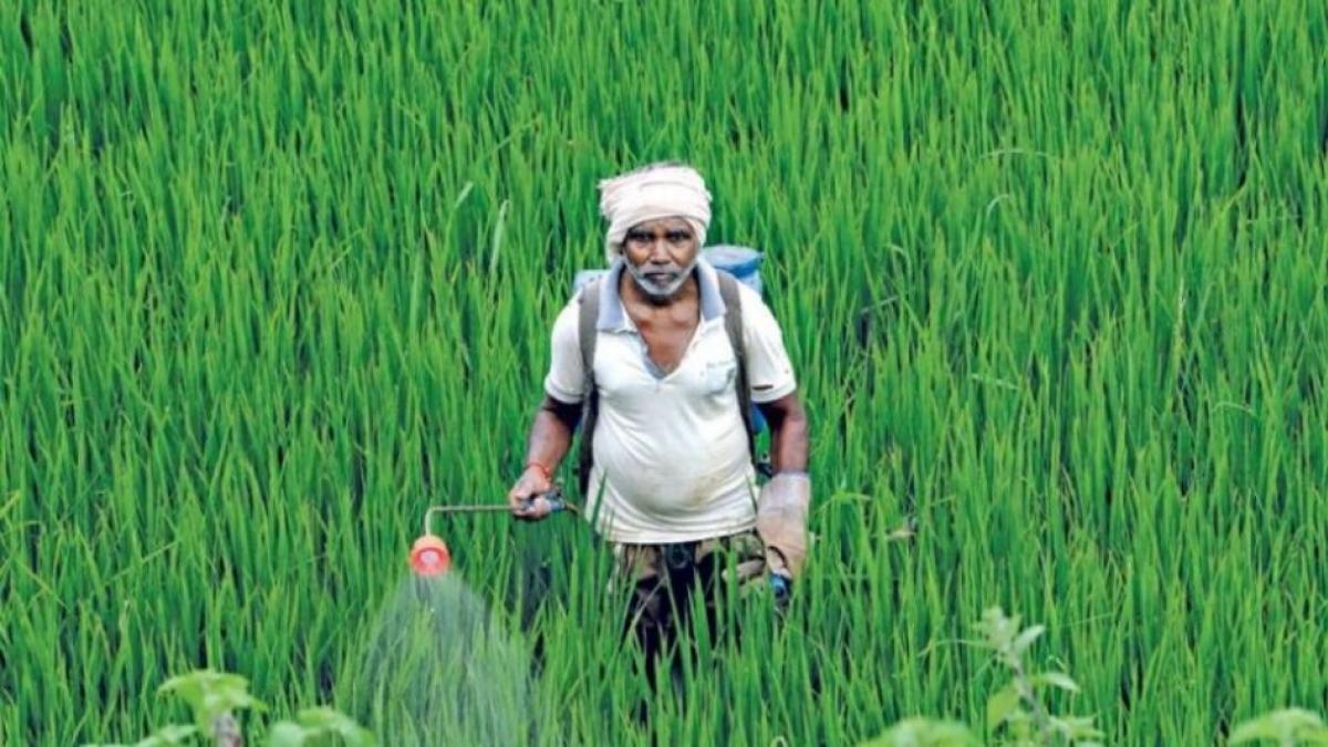 स्वदेशी जागरण मंच ने खड़े किए हैं सवाल (सांकेतिक तस्वीर)