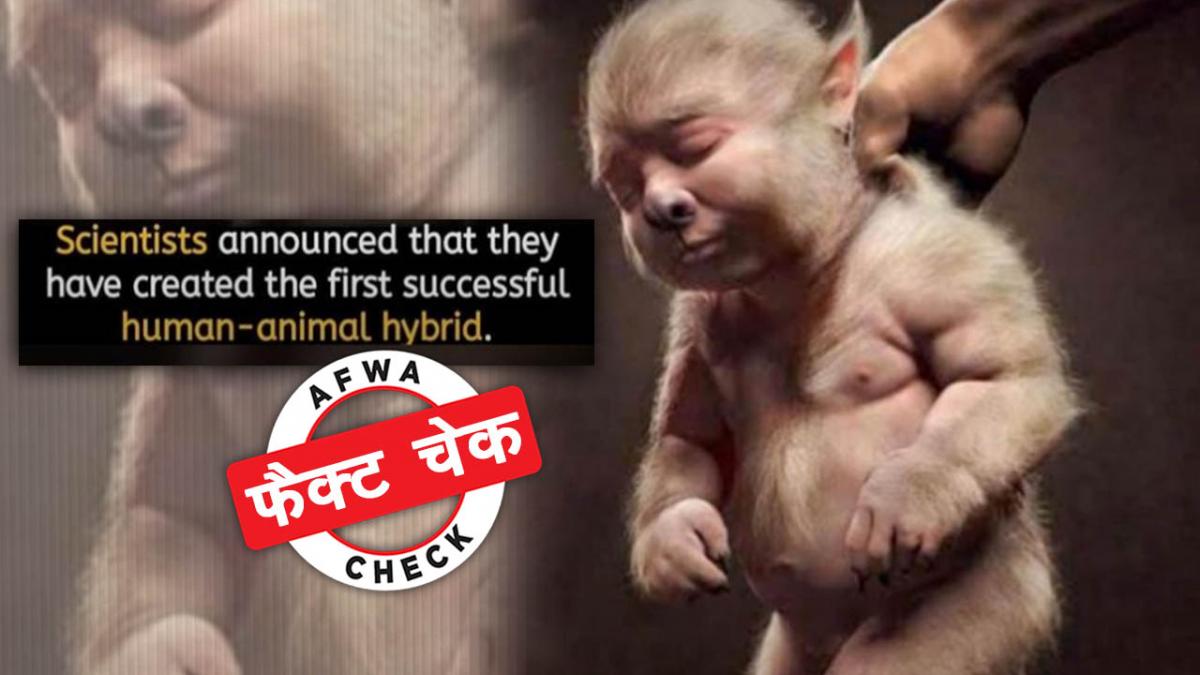 सोशल मीडिया यूजर्स