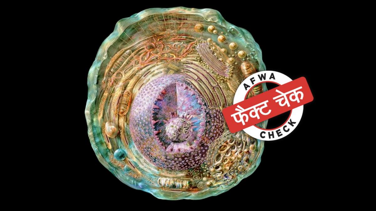 सोशल मीडिया यूजर्स