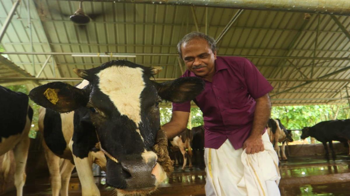 अपनी गायों के साथ डॉ जयकुमार (फोटो- सुमी सुलेमान) 