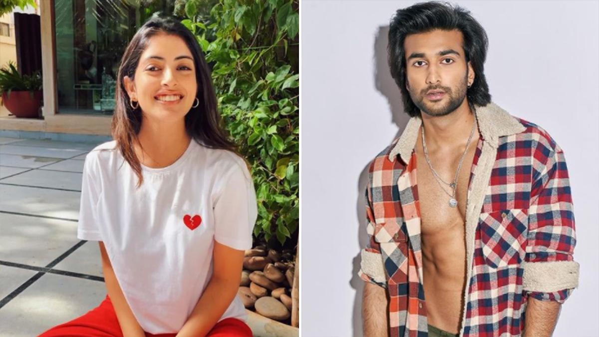 मीजान जाफरी