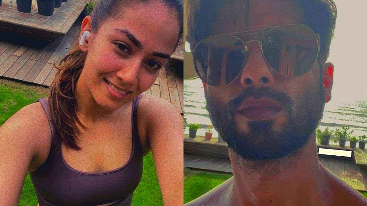 मीरा राजपूत-शाहिद कपूर 