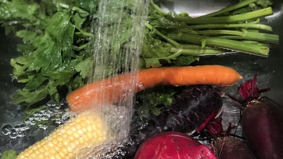 Kitchen Tips: बारिश के मौसम में कीड़े का डर? फल-सब्जियां धोने के लिए अपनाएं ये टिप्स - how to sanitize fresh fruits and vegetables during rainy season tips to clean and wash