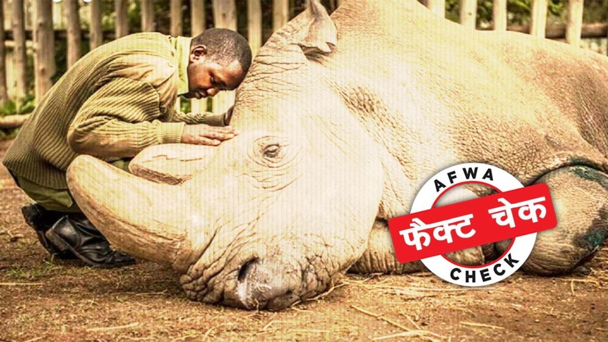 सोशल मीडिया यूजर्स