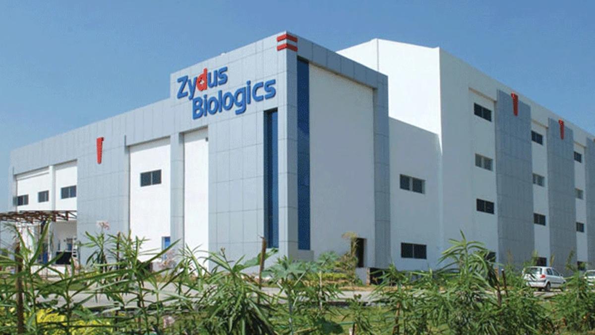 जाडयस कैडिला