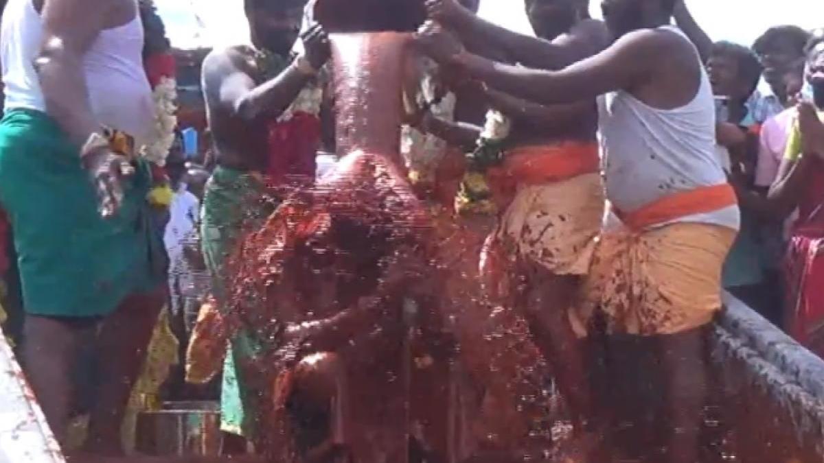 हुआ 108 किलो मिर्ची के पेस्ट से अभिषेक