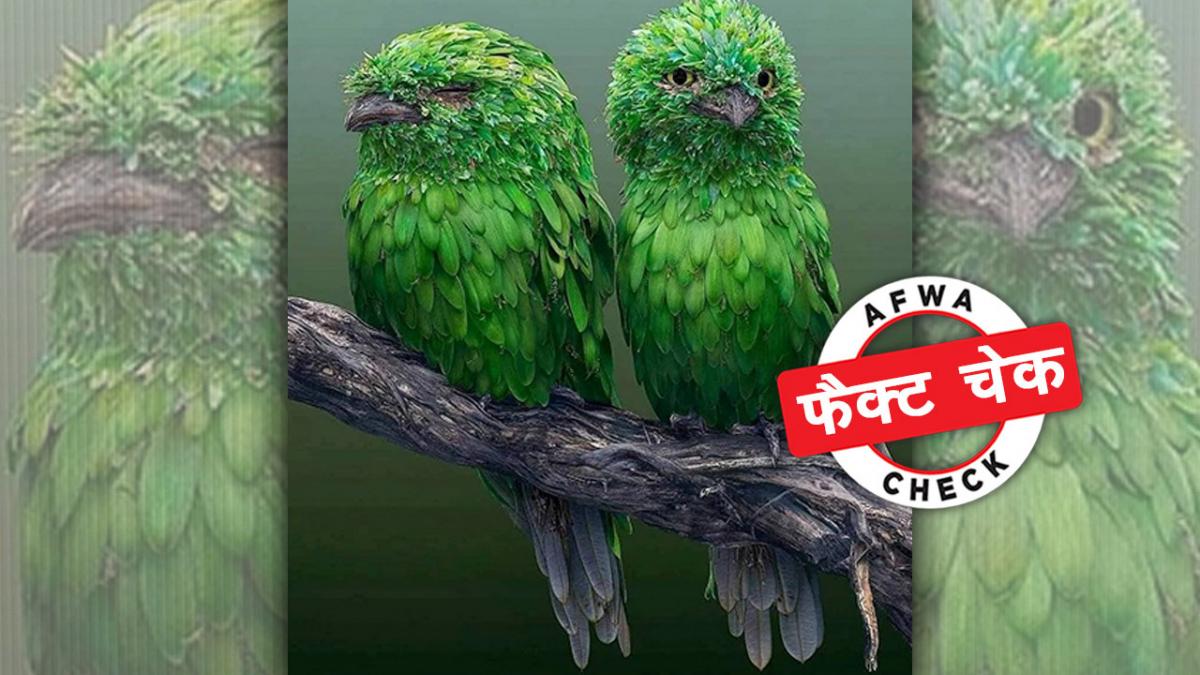 सोशल मीडिया यूजर्स