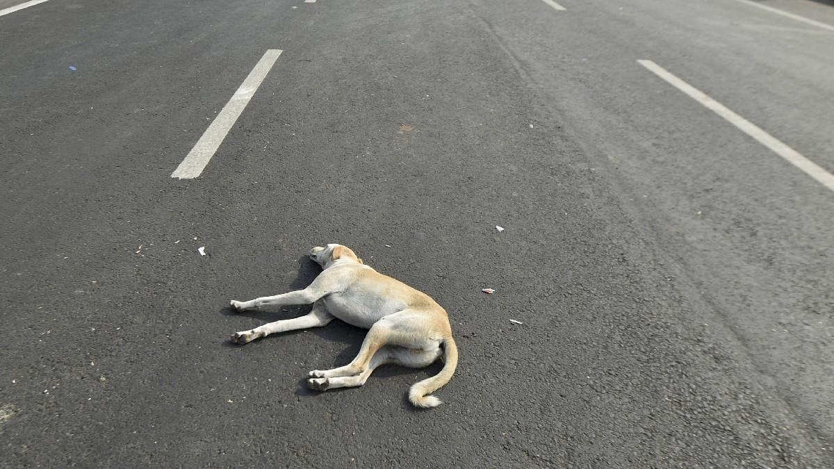प्रतीकात्मक