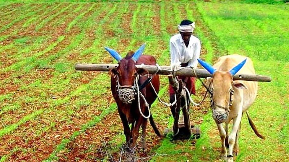Farmers को आखिरकार क्यों नहीं मिल पाता उपभोक्ता मूल्य का सही हिस्सा ? इन कृषि ऐप से किसान घर बैठे पाएं खेती-किसानी से जुड़ी सारी जानकारी, बढ़ाएं मुनाफा - farmers can get all the information about farming and crop through these agricuture App lbsa -