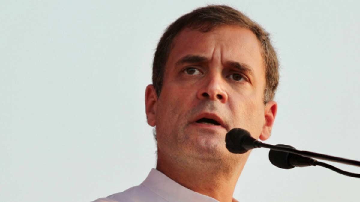 कांग्रेस नेता राहुल गांधी (फाइल-पीटीआई) 