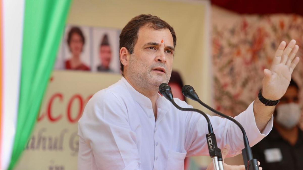 कांग्रेस नेता राहुल गांधी (फोटो-पीटीआई)