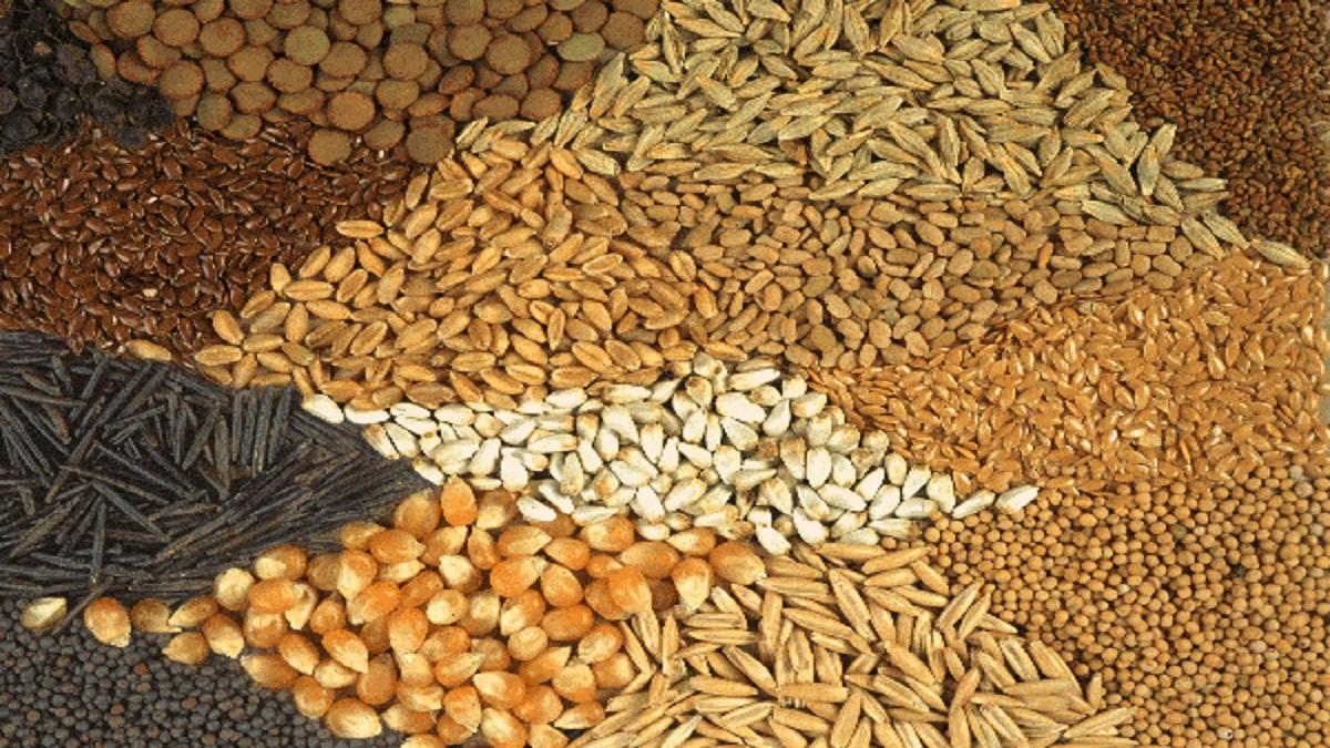 Subsidy on seeds